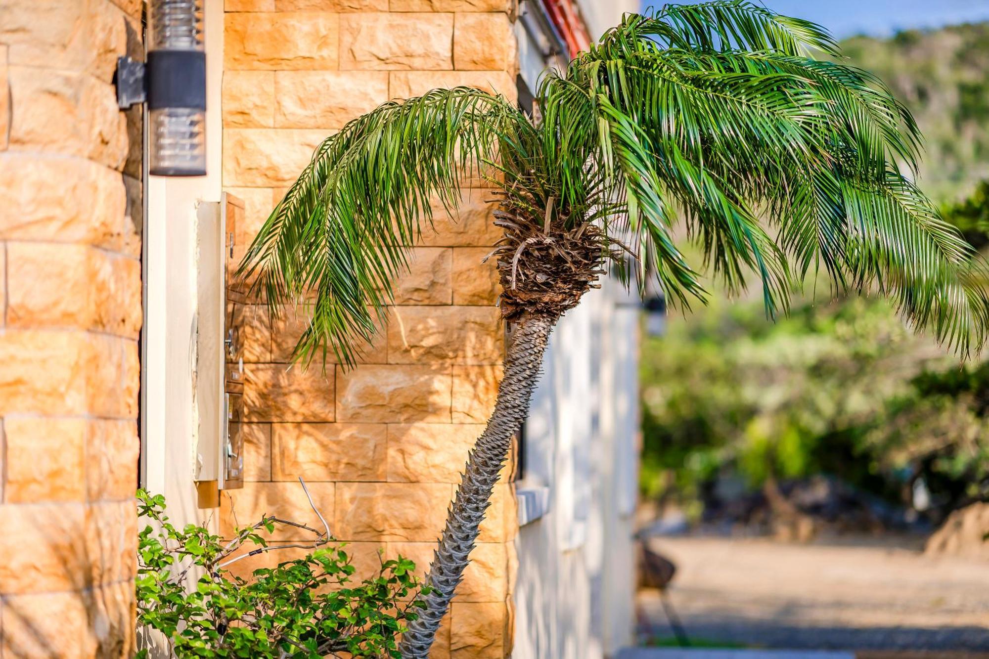 Southern Sun Homestay North Kenting Buitenkant foto